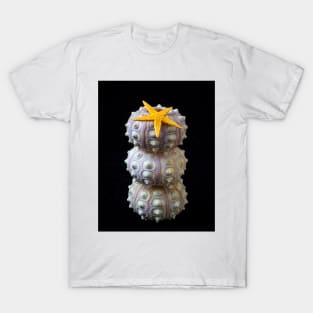 Starfish On Stacked Sea Urchins T-Shirt